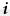 info_icon